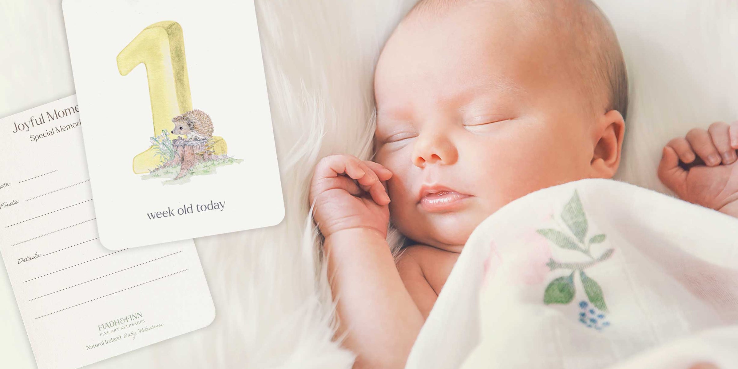 How To Use Baby Milestone Cards