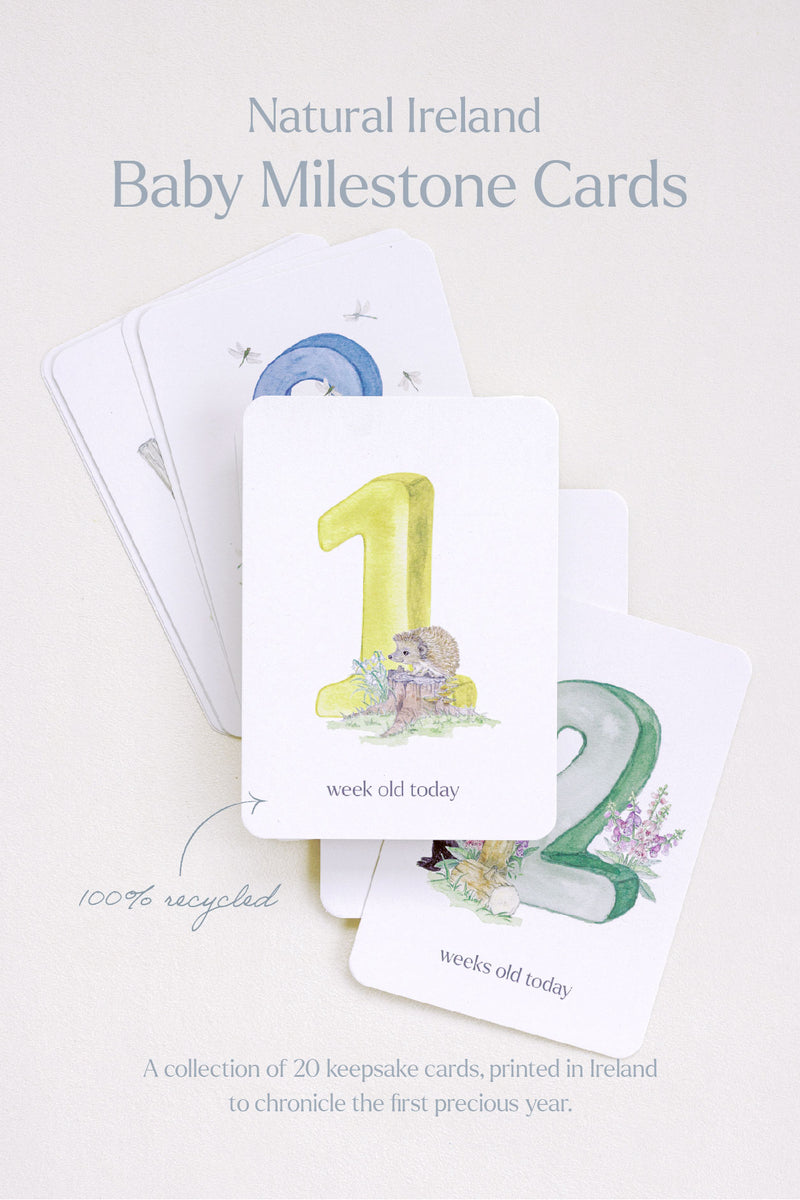 They're Here, Baby Milestone Cards