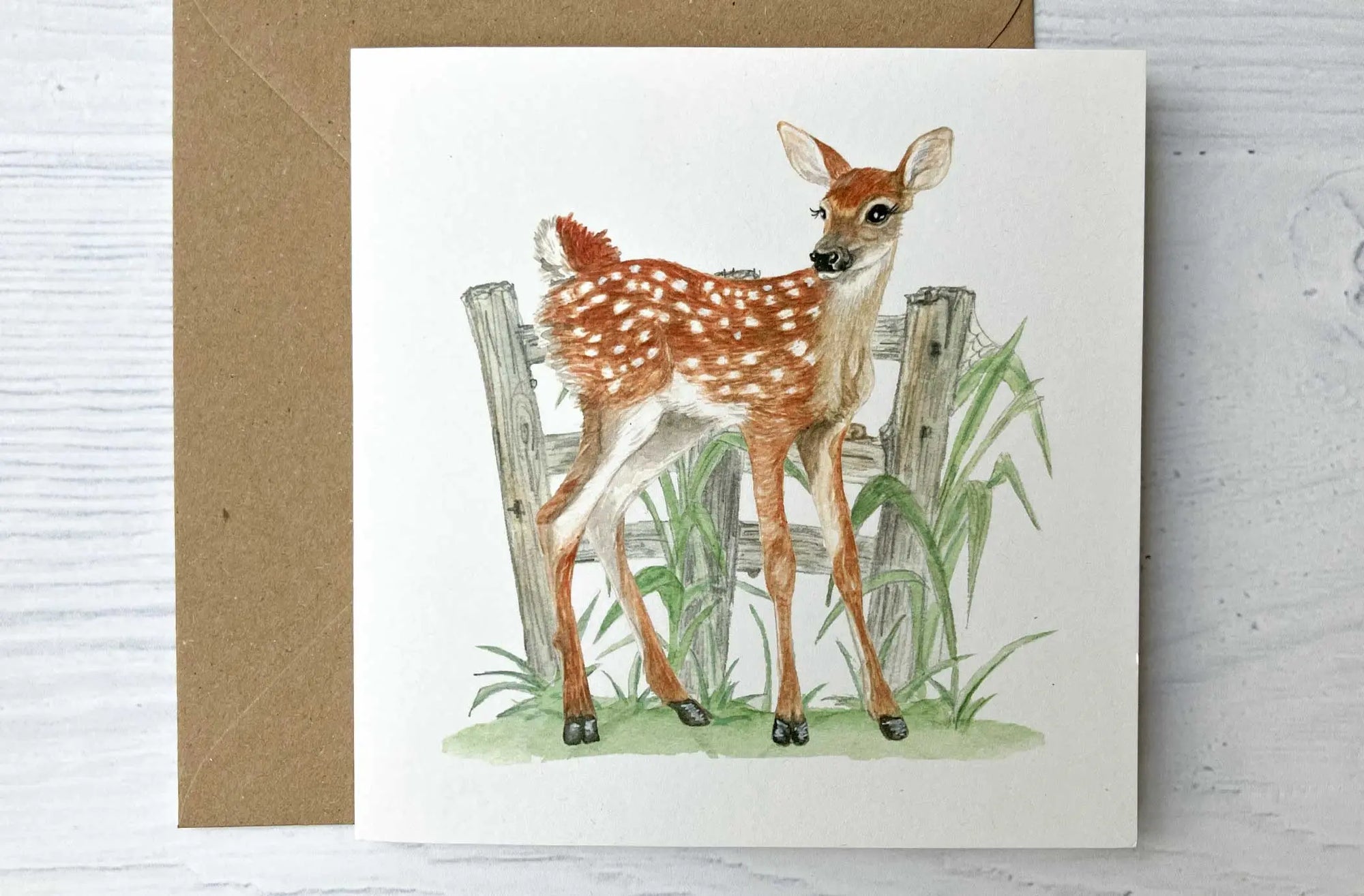 6 Pack Irish Wildlife Greeting Cards (100% Recycled Card) fiadhandfinn