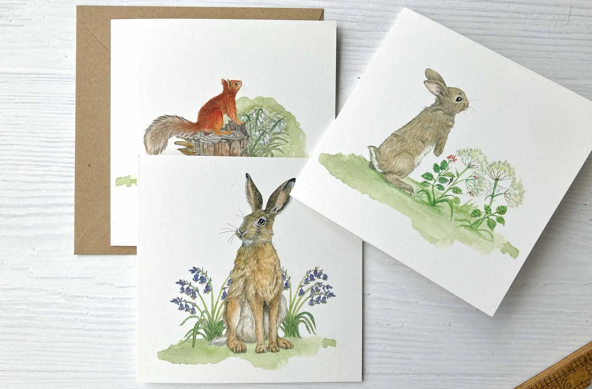 6 Pack Irish Wildlife Greeting Cards (100% Recycled Card) fiadhandfinn