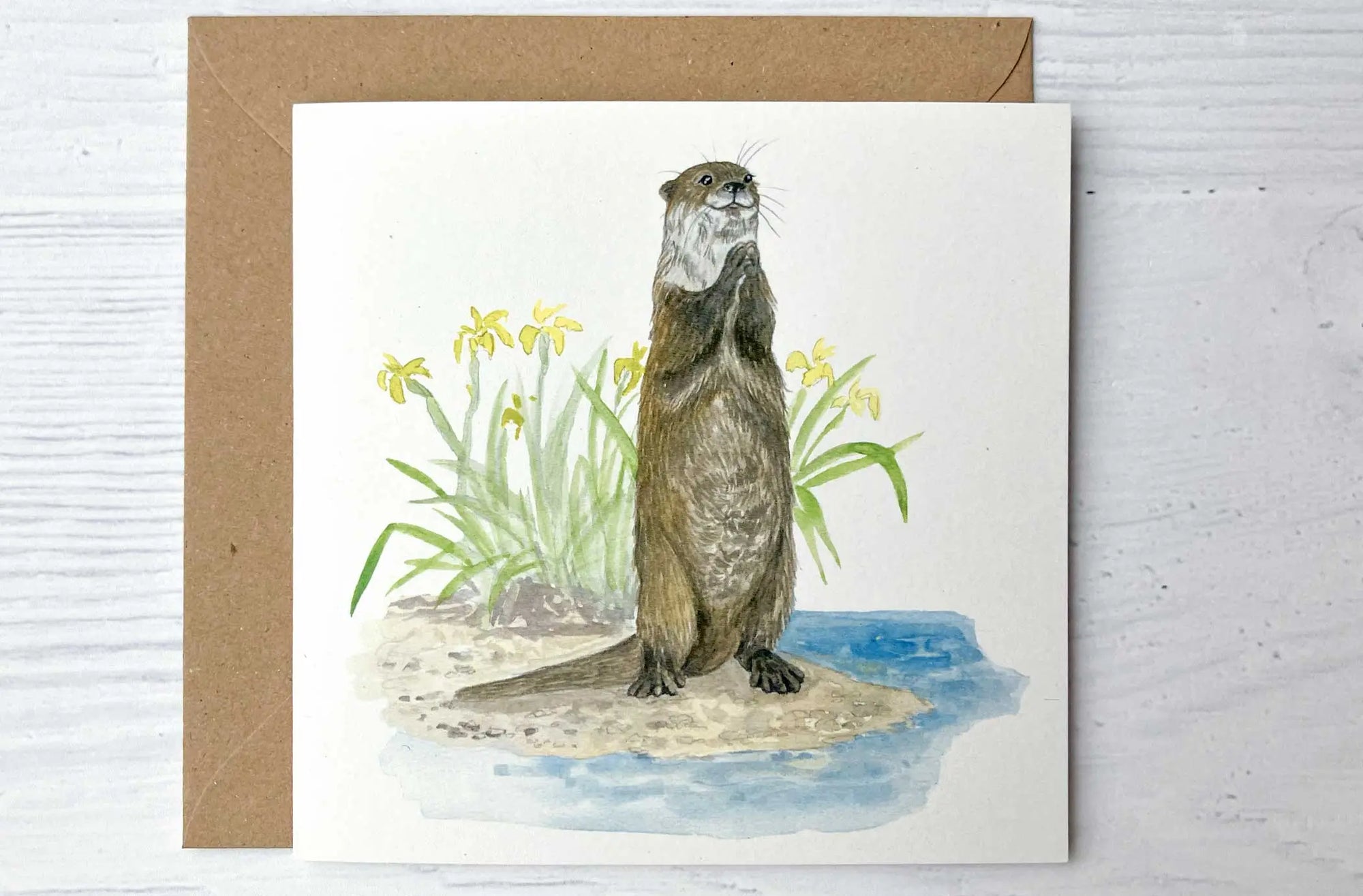 6 Pack Irish Wildlife Greeting Cards (100% Recycled Card) fiadhandfinn