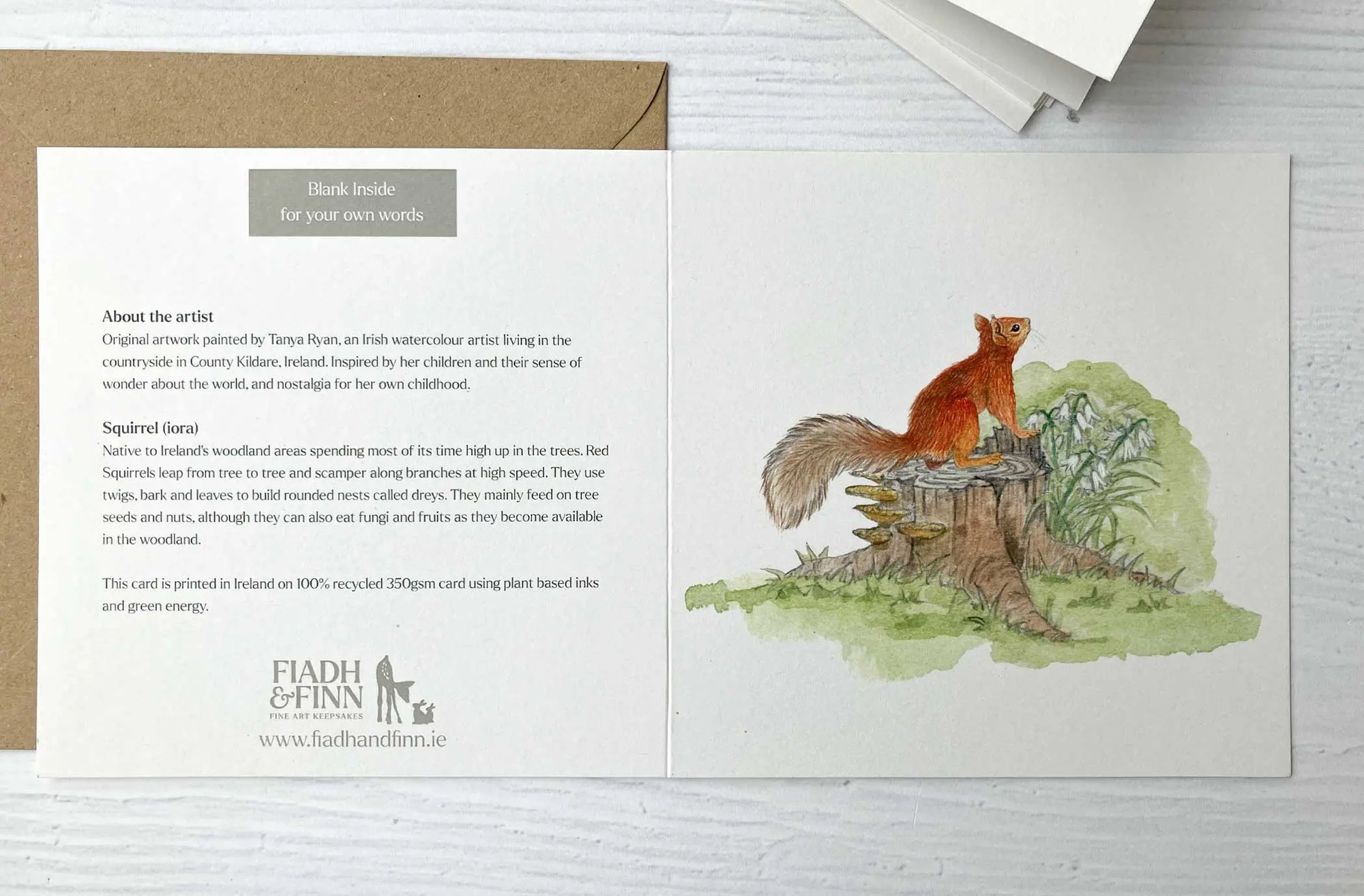 6 Pack Irish Wildlife Greeting Cards (100% Recycled Card) fiadhandfinn