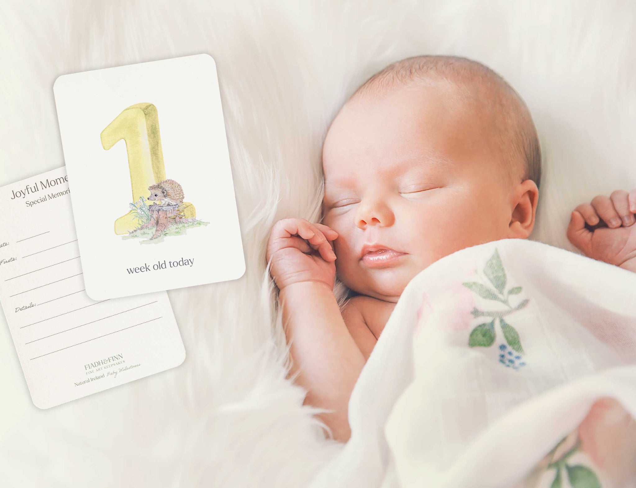 Baby-Milestone-Cards-Gift-Set-2.jpg