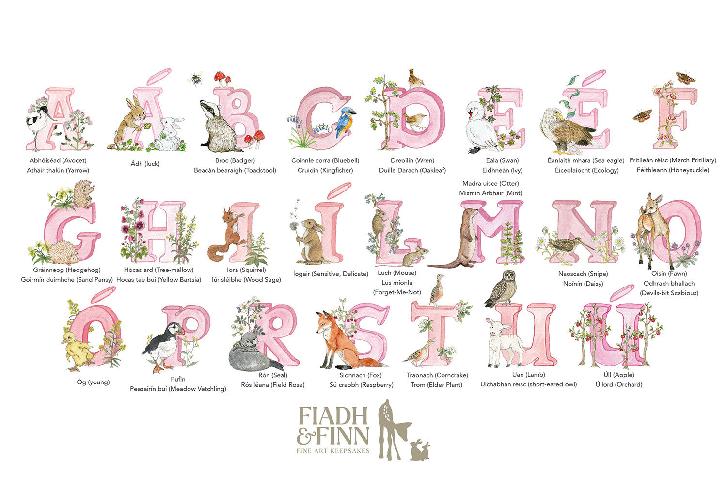 Rose-Irish-Alphabet.jpg