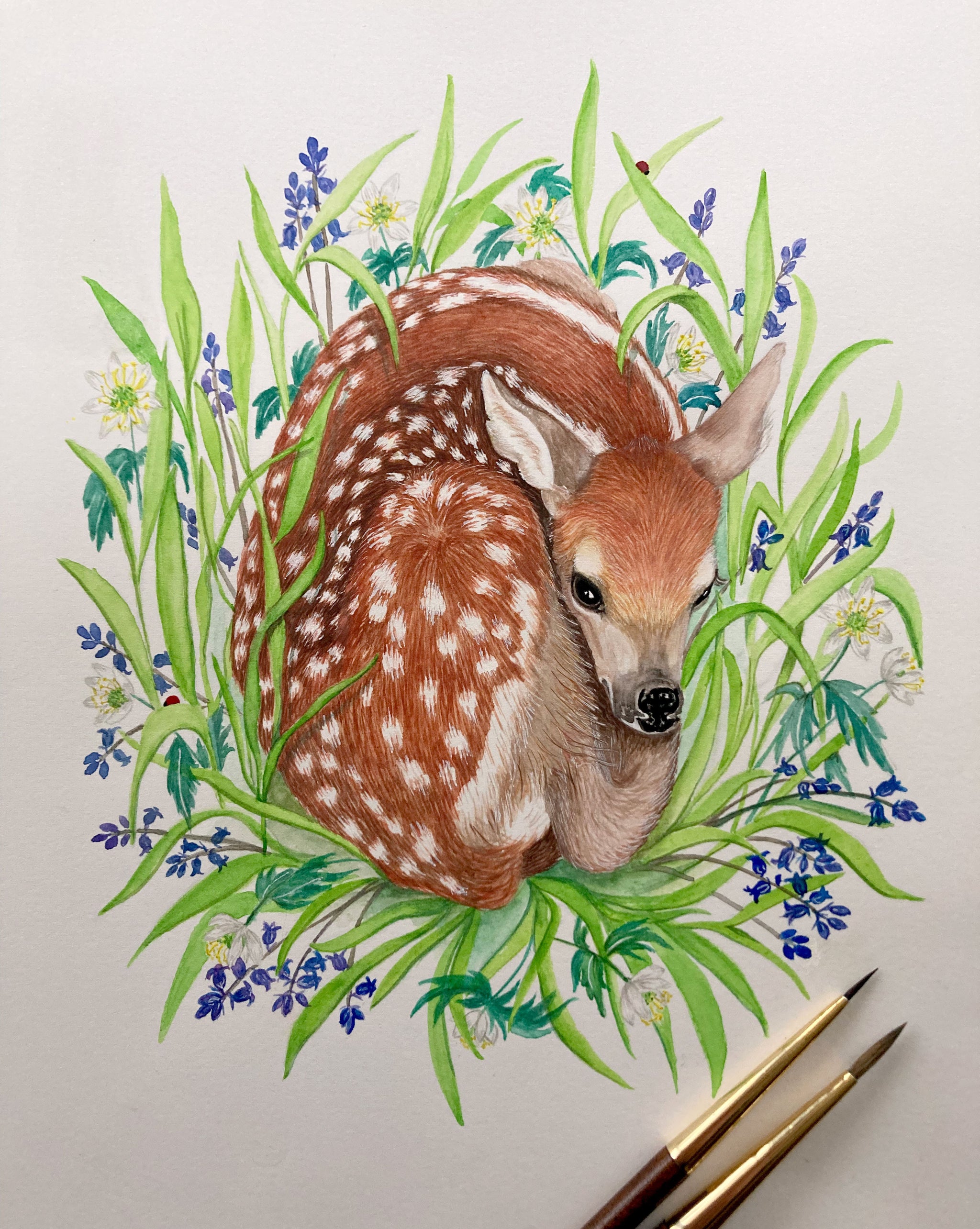 Fawn-springtime-detail.jpg